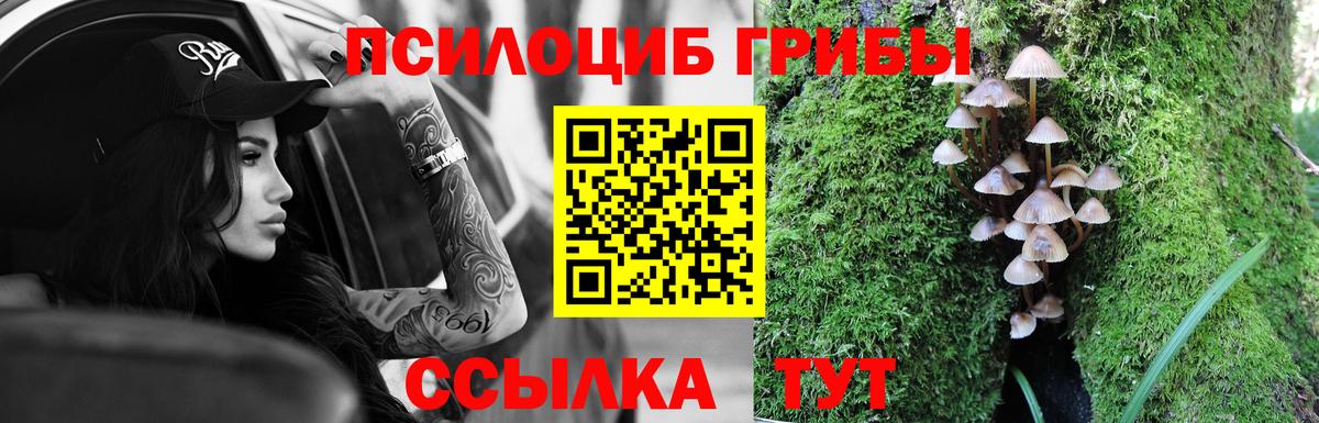 Псилоцибиновые грибы прущие грибы  Вход с VPN  Лениногорск 